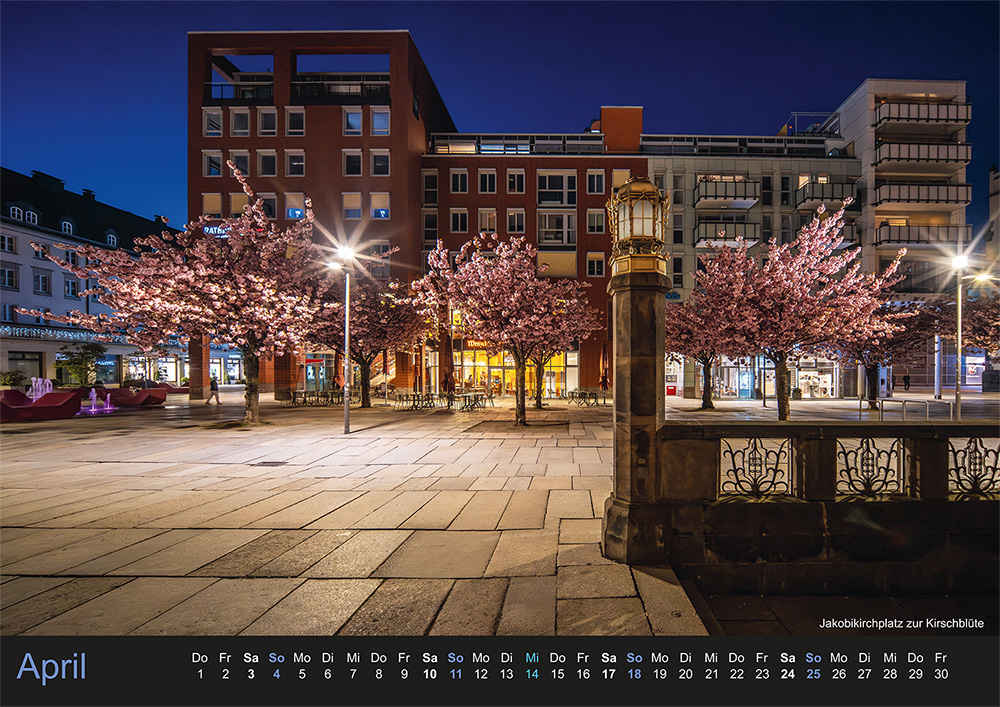 Chemnitz-Kalender 2027 – April: Kirschblüte auf dem Jakobikirchplatz