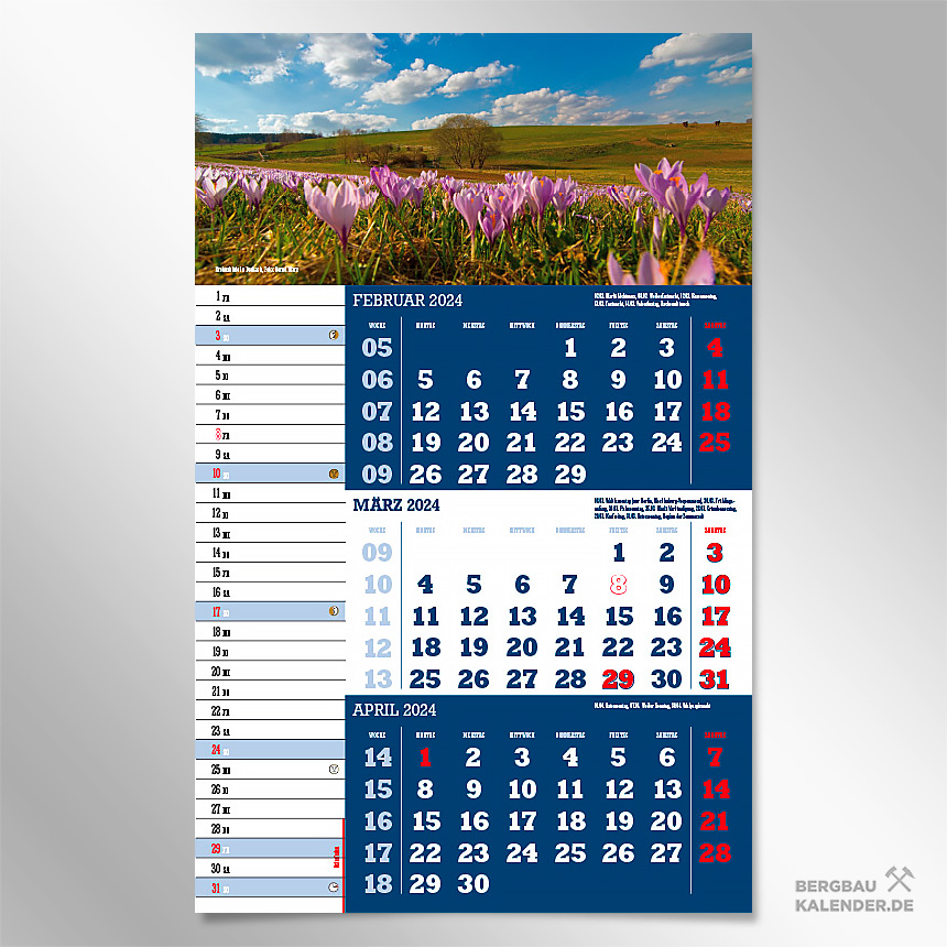 Monat März des Kalender 2024 Sachsen - Krokusse im Erzgebirge