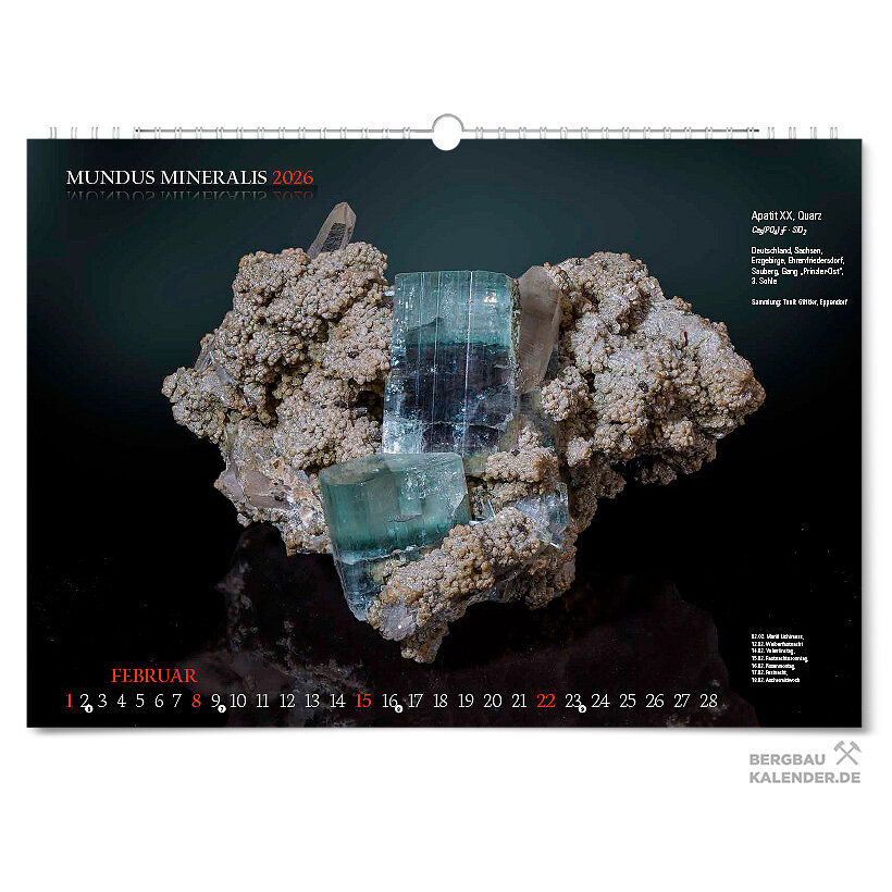 Mundus Mineralis 2026 - Mineralienkalender - Februar