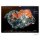 Mineral Calendar MUNDUS MINERALIS 2026