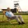 Wooden Deck Chair Garden with Mining Symbols | Folding Sun Lounger